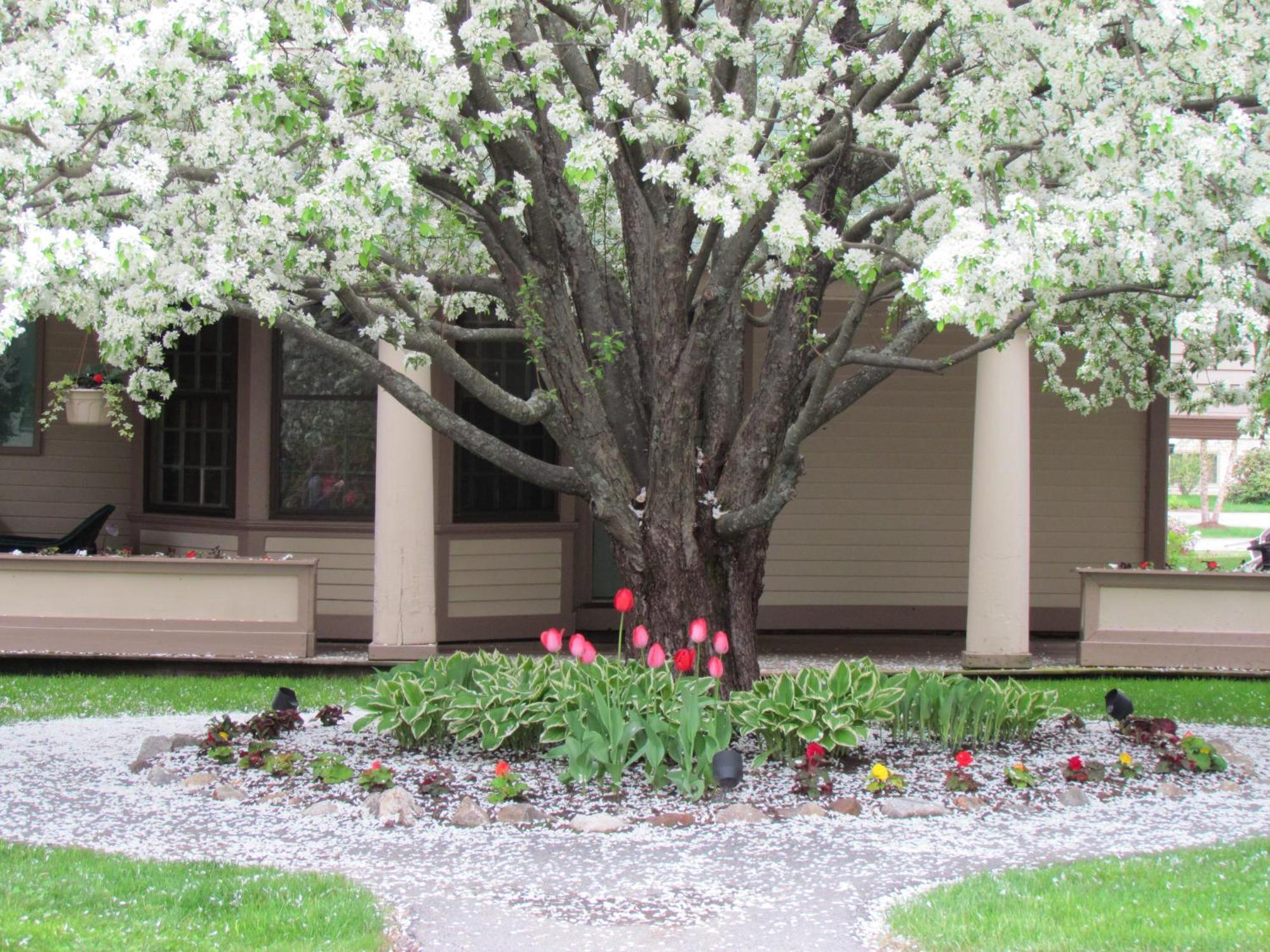 The Wentworth Hotel Jackson Exterior photo
